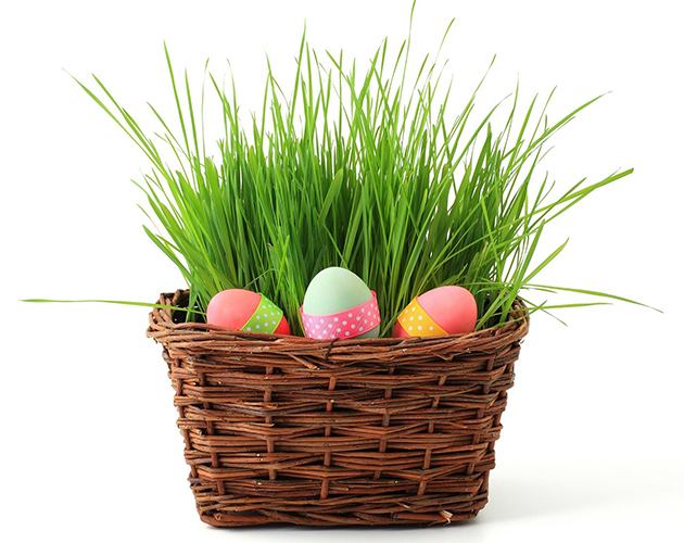 Saldi di Pasqua 2025 @Timeshop24 Saldi di Pasqua 2025 @Timeshop24